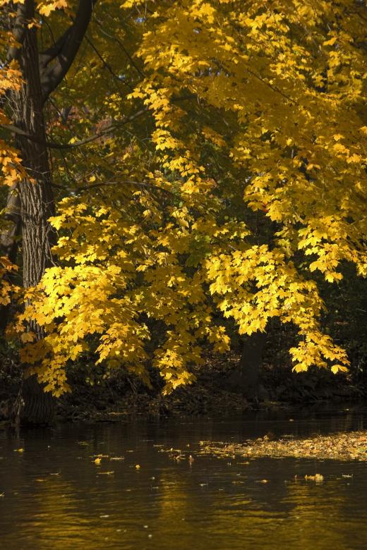 Photo Title - Christiana Creek