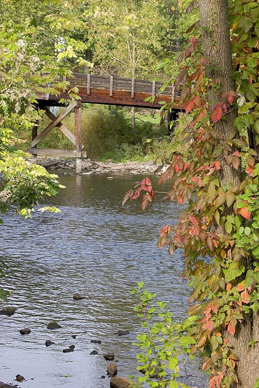 Photo Title - Island Park Wood Bridge