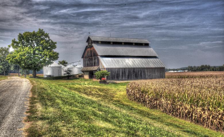 Photo titled - Corn Country