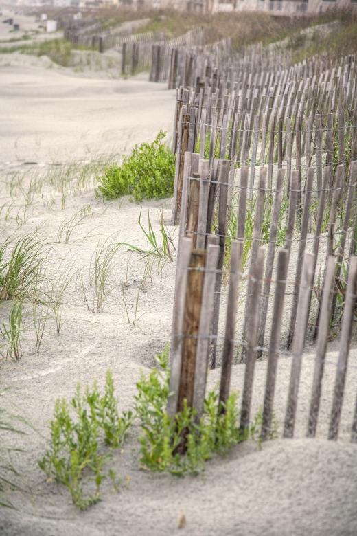Photo Title - Dune Fence