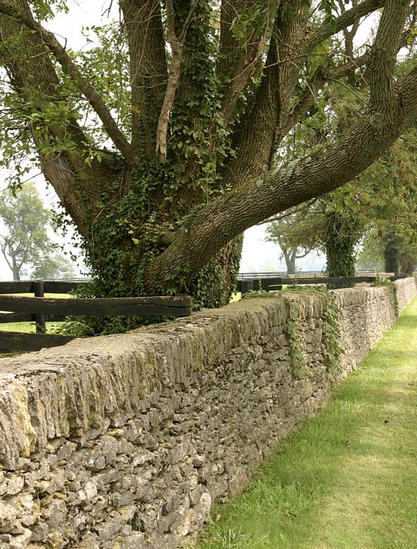 Photo titled - Kentucky Fence