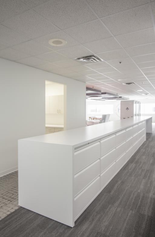 Architectural photo of an example of commercial cabinetry and casework.