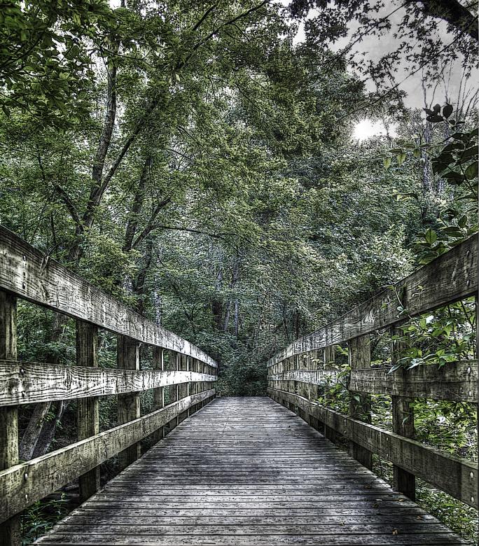 Photo titled - Mystery Bridge