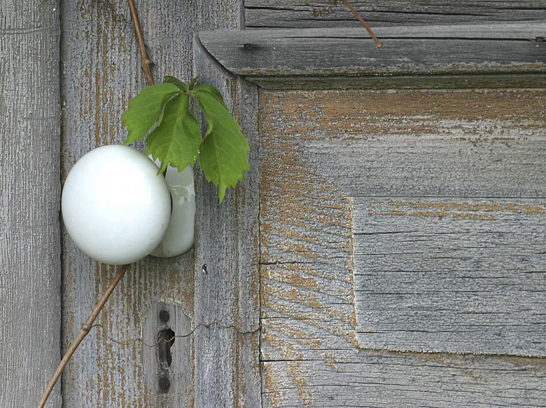 Photo titled - White Door Knob #3